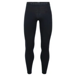 Icebreaker Men's BodyfitZONE 200 Zone Leggings